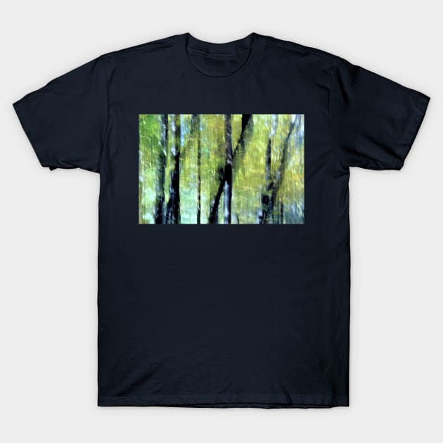 Autumn ~ Sun-dappled trees T-Shirt by LaurieMinor